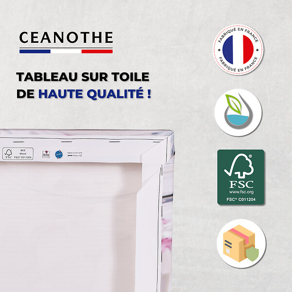 CEANOTHE - Tableau sur toile tennis 45x65 cm - large