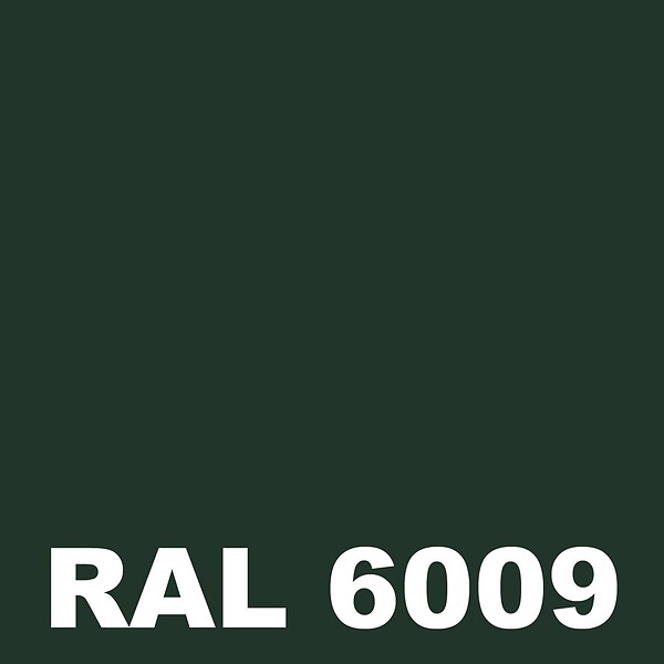 METALTOP - Peinture Murale Interieur -  Vert sapin - RAL 6009 - Pot 1L - large