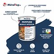 METALTOP - Peinture Murale Interieur -  Vert sapin - RAL 6009 - Pot 1L - vignette