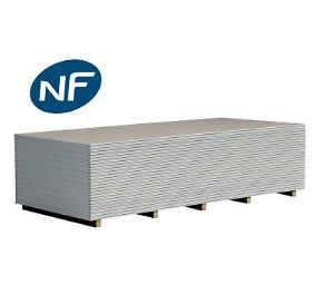 DRYPLAC - Plaque de plâtre BA13 standard - Ep13mm - l120xH250cm - large