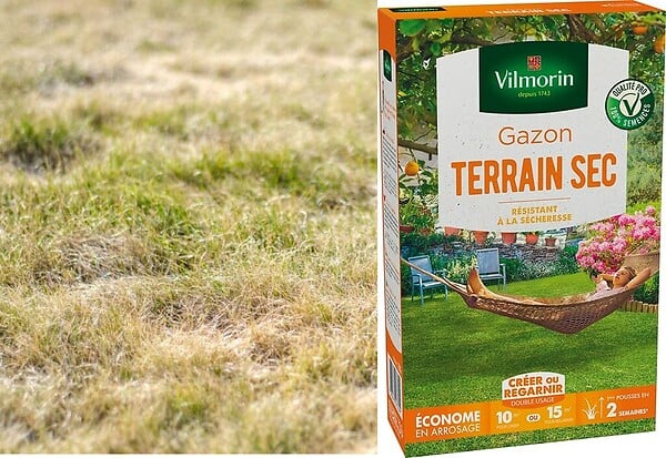 Gazon rustique terrain sec 250g VILMORIN | Bricorama