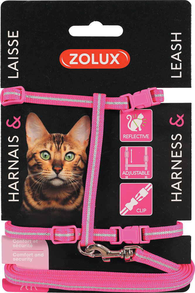 kit sellerie chat rose pour chat