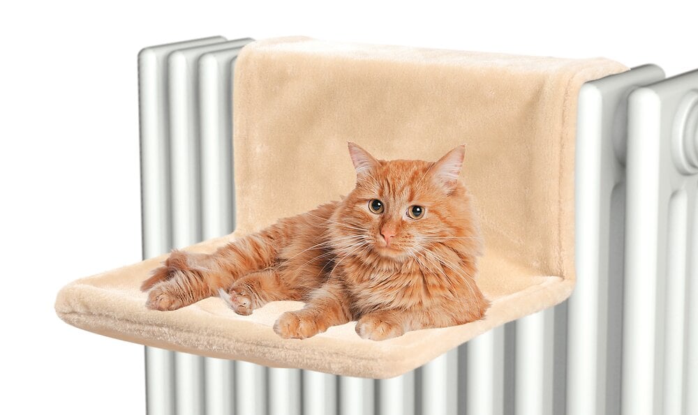 hamac radiateur beige pour chat