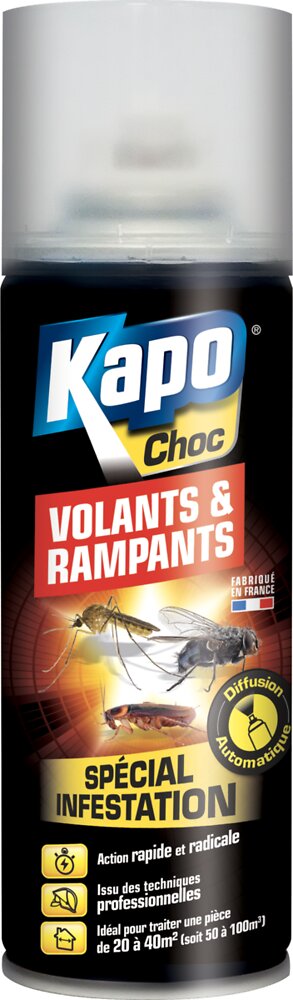 KAPO - Insecticide Tous insectes Aérosol 200ml - large