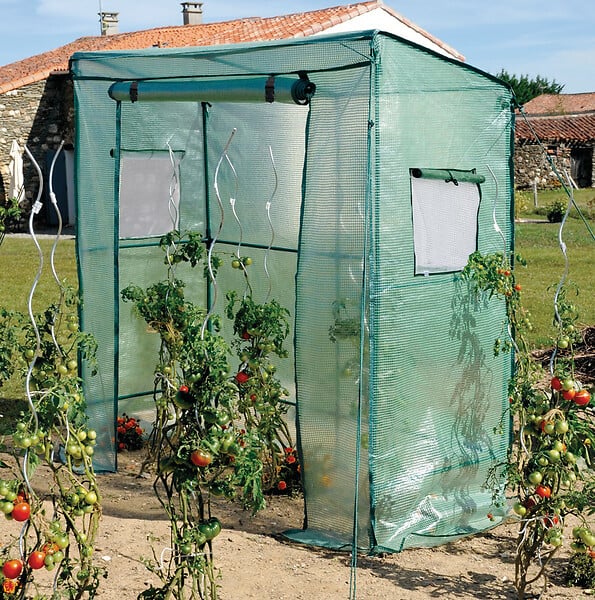 Protection pluie et mini serre à tomates - lot de 3, vente au meilleur prix