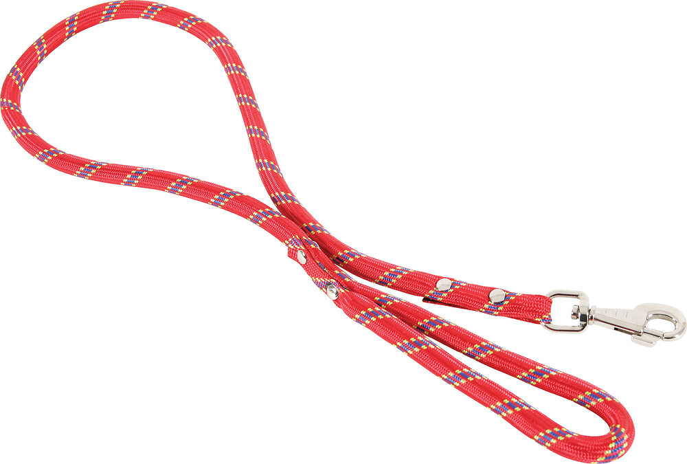 ZOLUX - Laisse nylon corde 13mm/ 6m ro pour chien - large