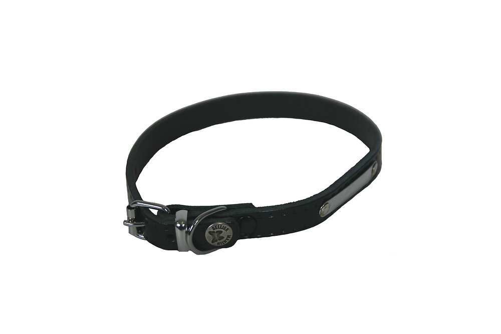 collier pour chien riveté noir 10mmx30cm noir
