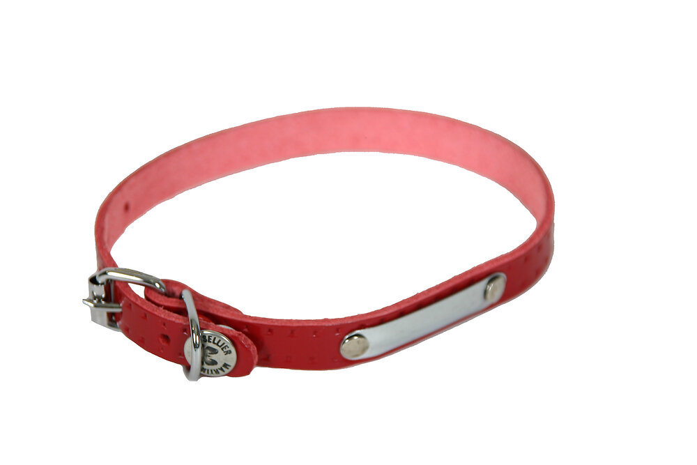 collier pour chien riveté rouge 12mmx35cm
