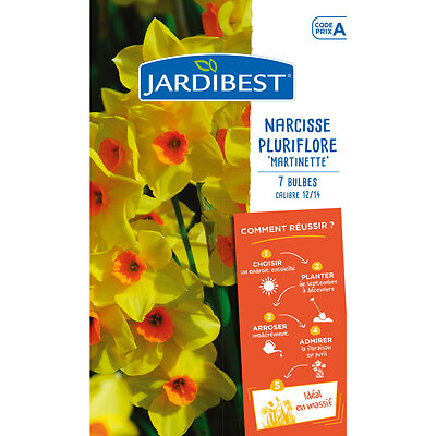 Narcisse pluriflore Martinette x7 bulbes | Bricomarché