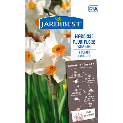 JARDIBEST - Narcisse pluriflore Géranium x7 bulbes - large