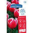 JARDIBEST - Tulipe triomphe Leen Van Der Mark - vignette