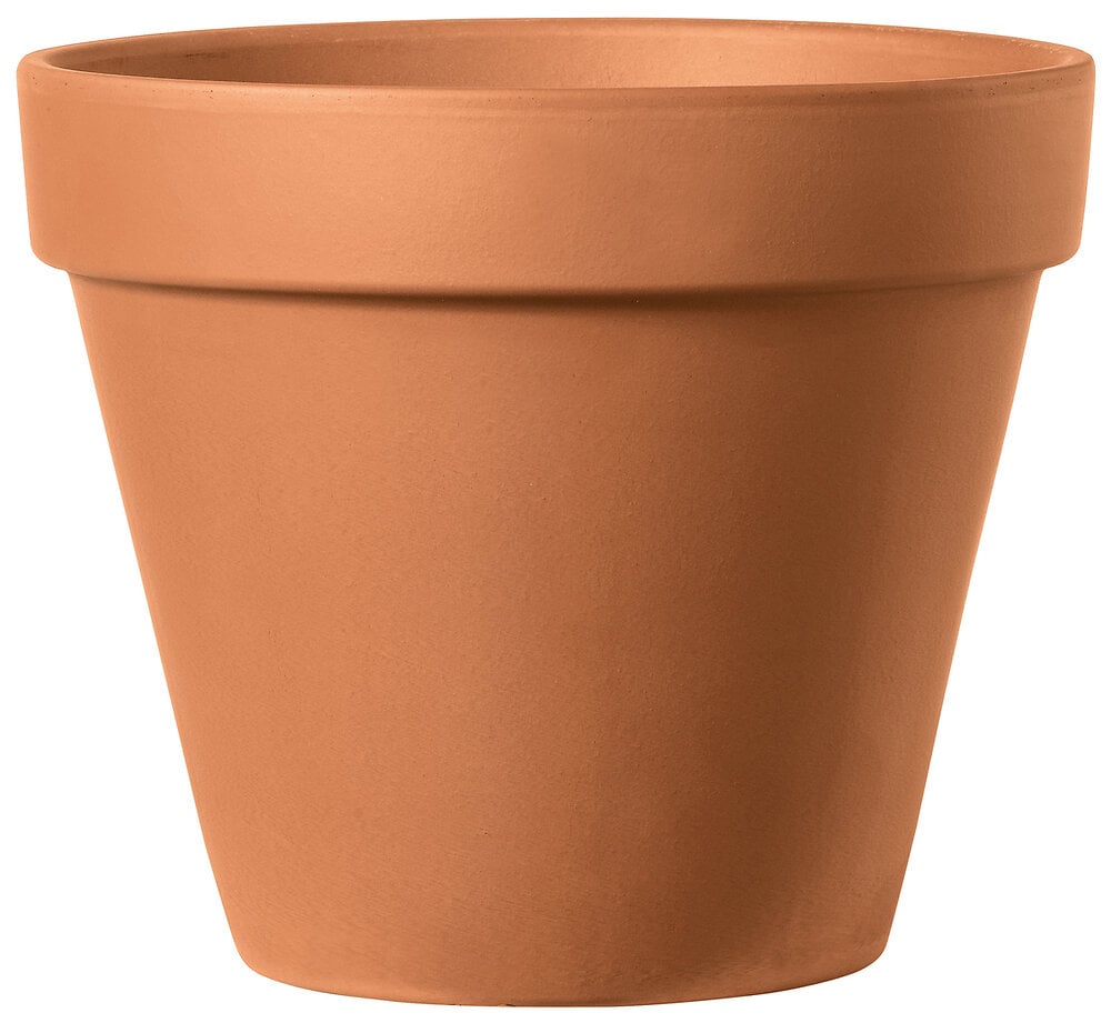 Pot terre cuite Brut Cotto 11cm, terre rouge | Bricomarché