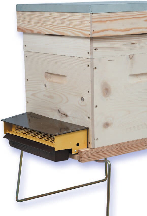 - - Trappe à pollen d'entrée pvc ruche 10 cadres - large