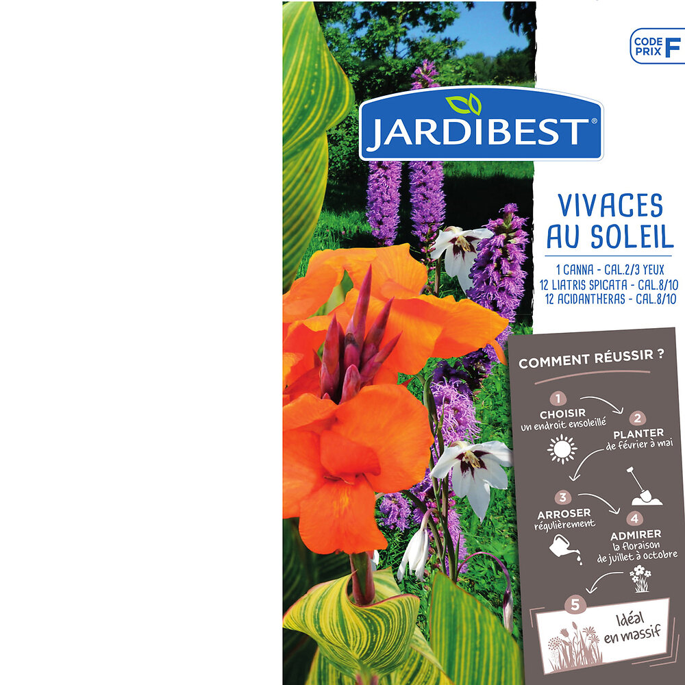 JARDIBEST - Mélange de bulbes - Canna Acidenthera et Liatris - large