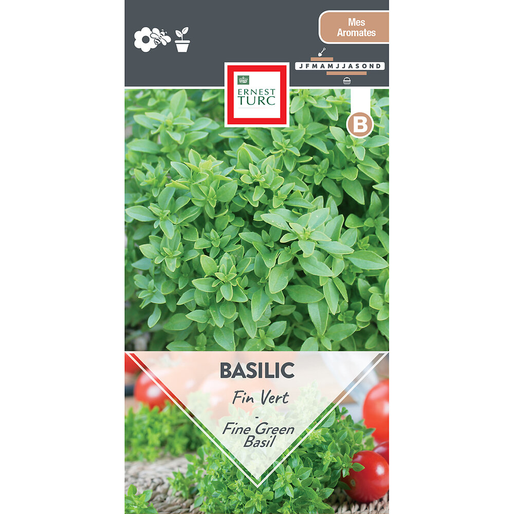 Basilic+fin+vert