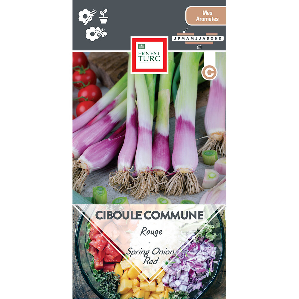Ciboule commune rouge