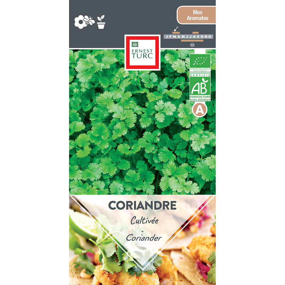 Coriandre cultivee bio