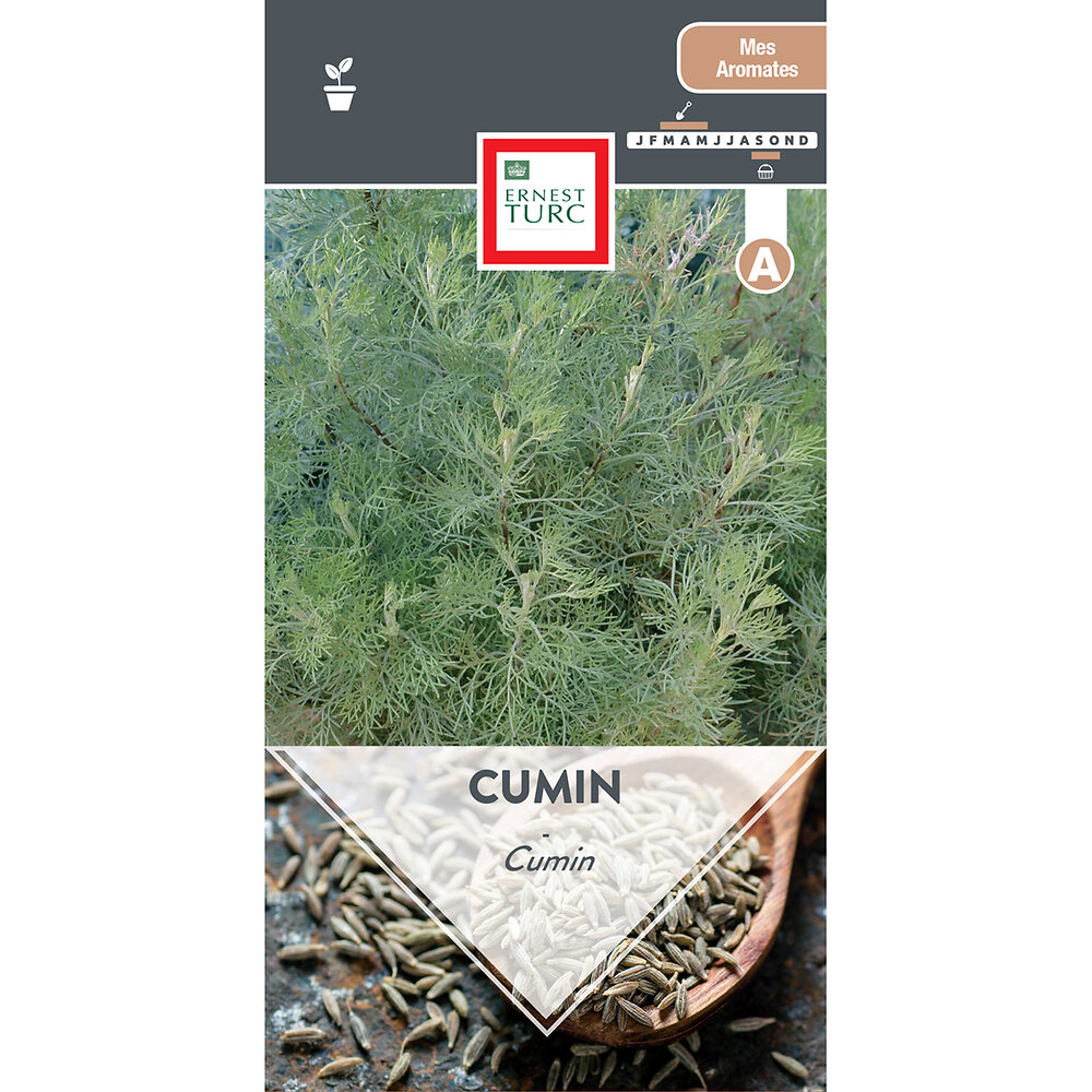 Cumin