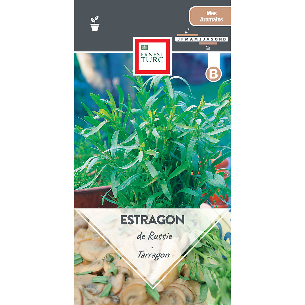 Estragon de russie