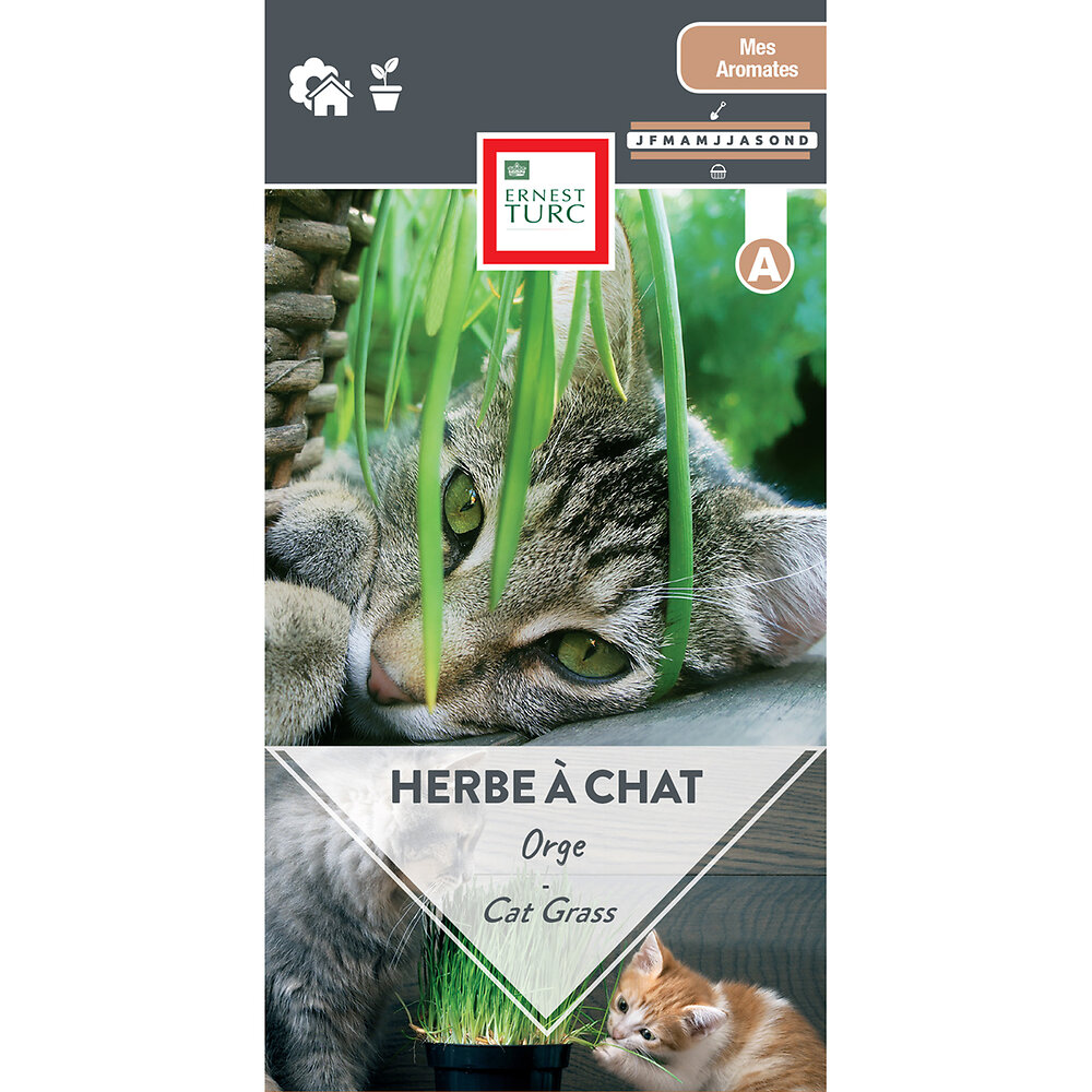Herbe+a+chat