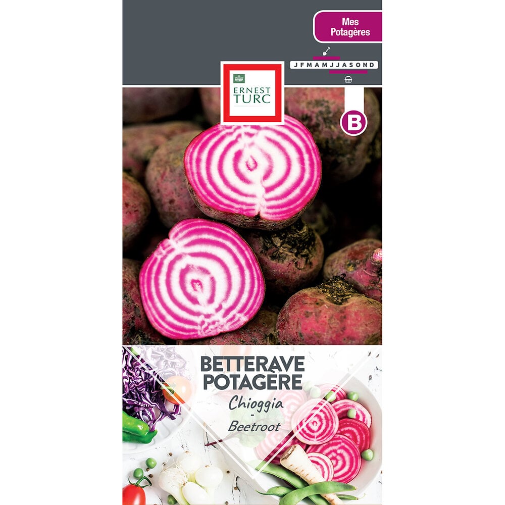 Betterave+potagere+chioggia