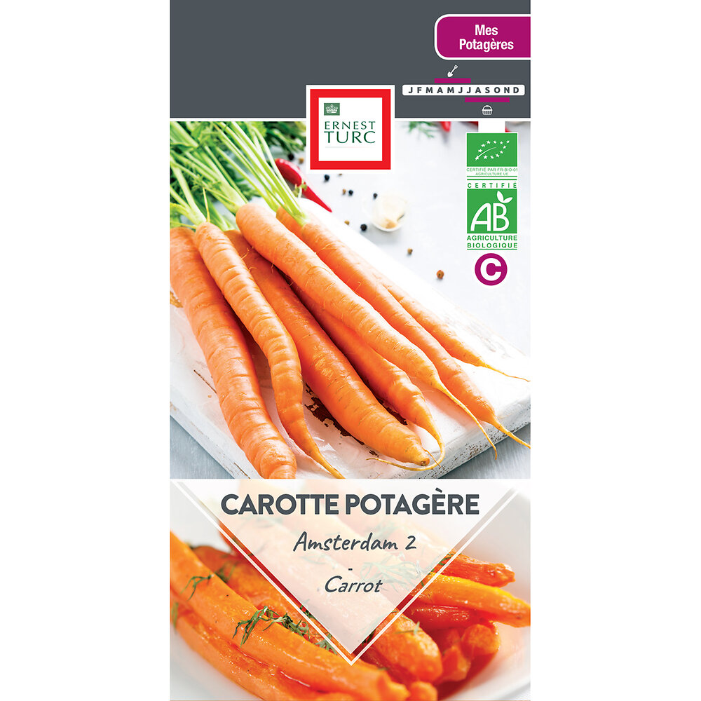 Carotte+potagere+amsterdam+2+bio