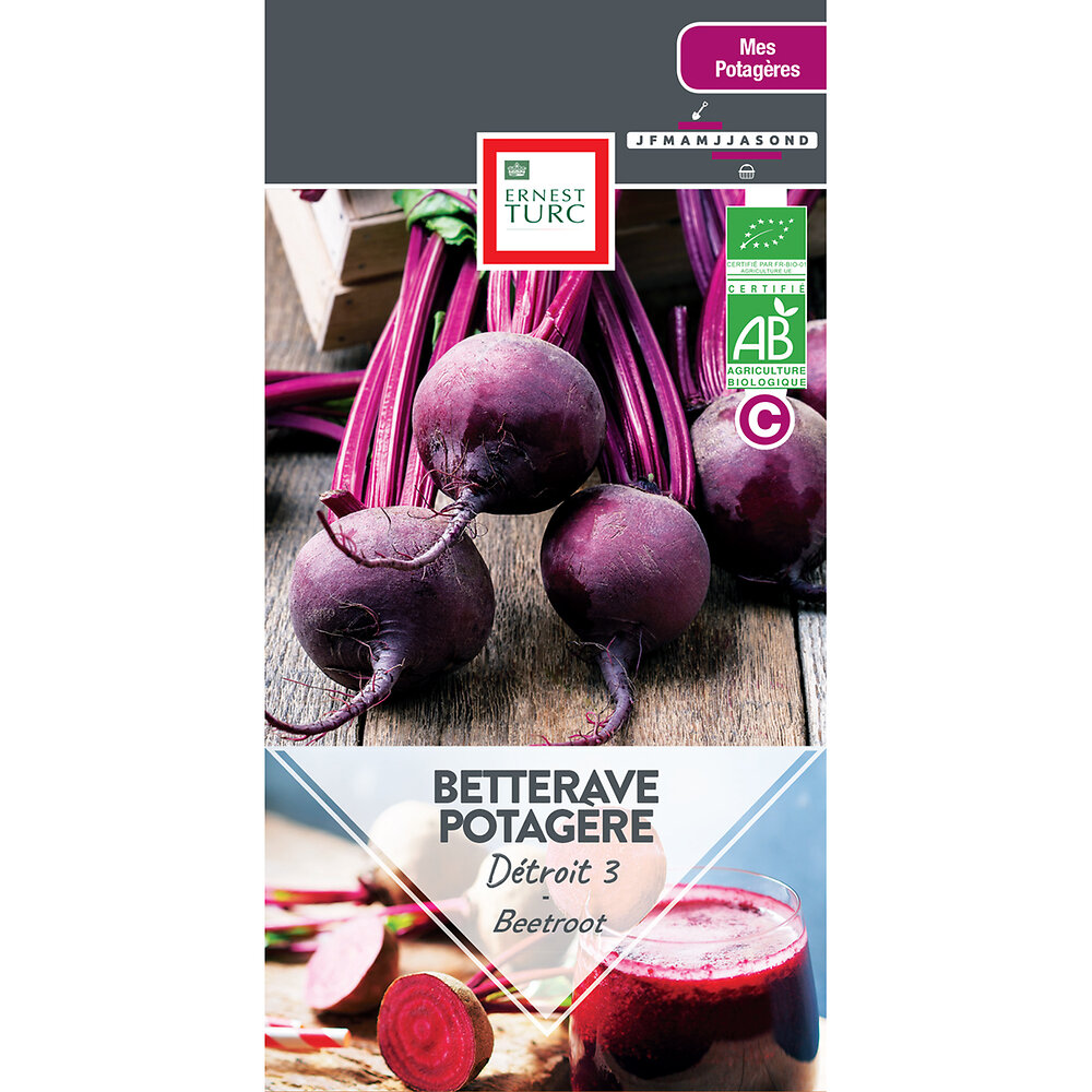 Betterave+potagere+detroit+3+bio