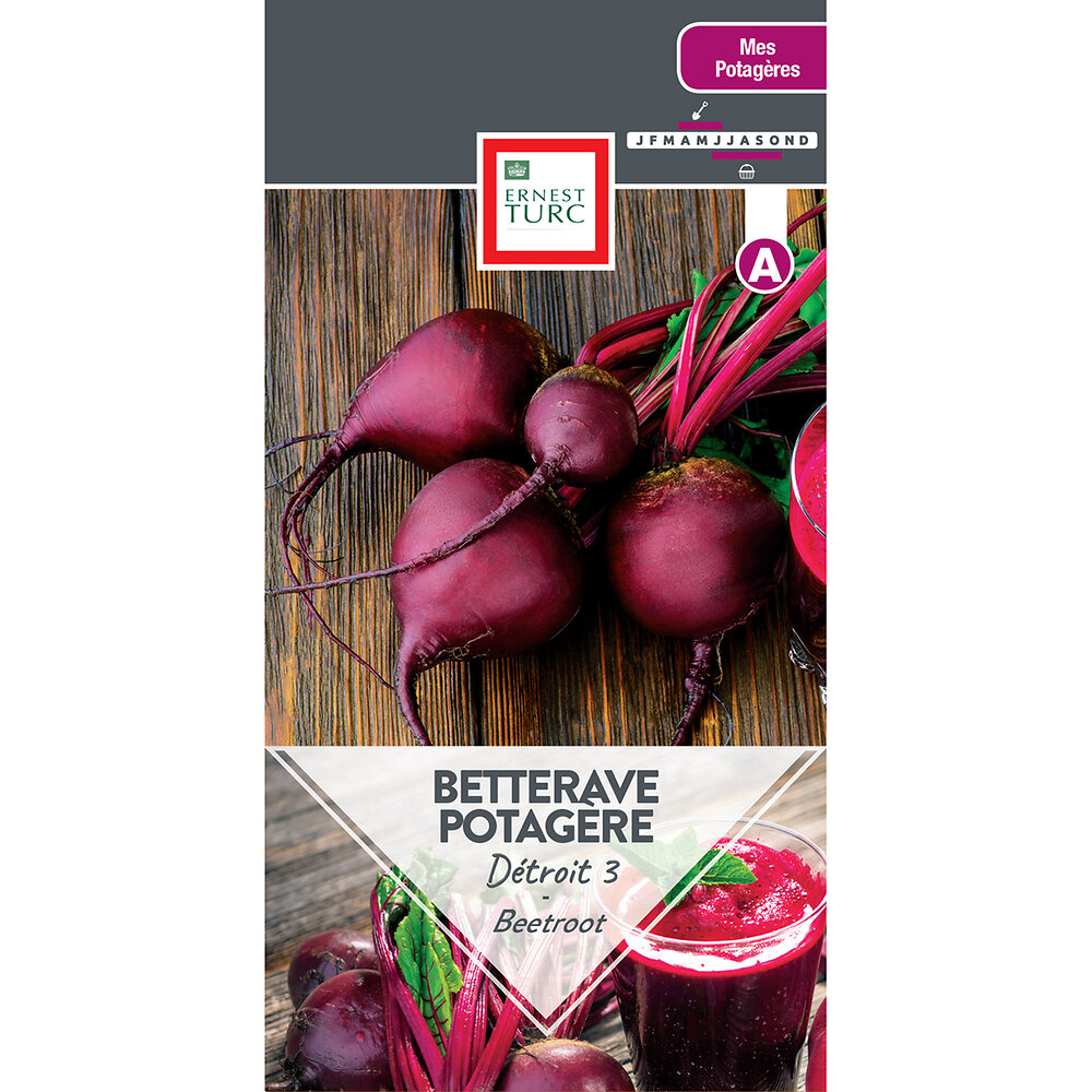 Betterave+potagere+detroit+3