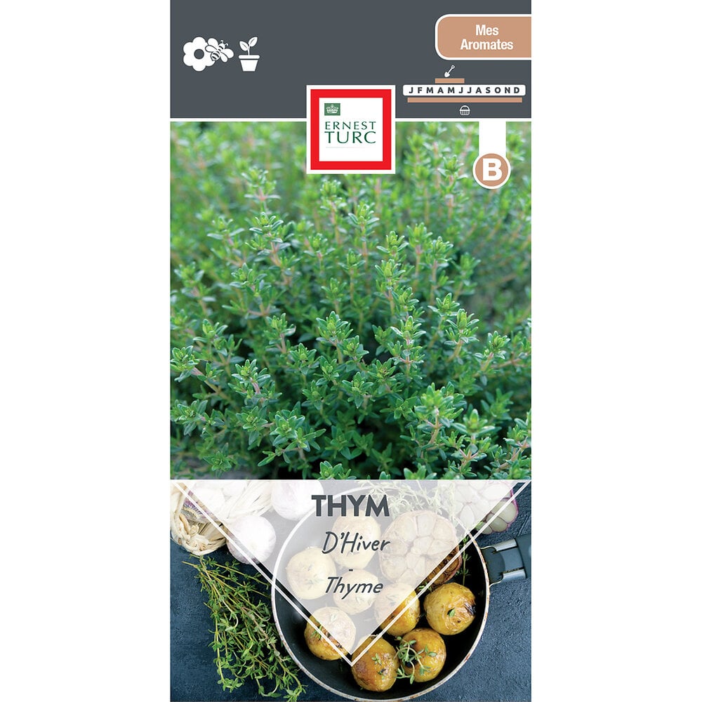Thym d'hiver
