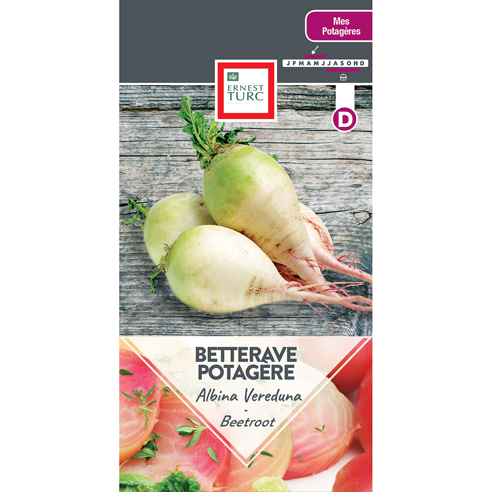 Betterave potagere albina vereduna