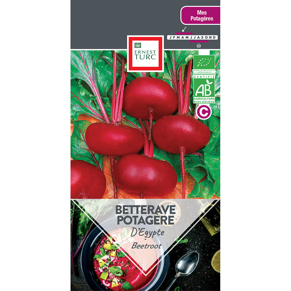 Betterave potagere d'egypte bio