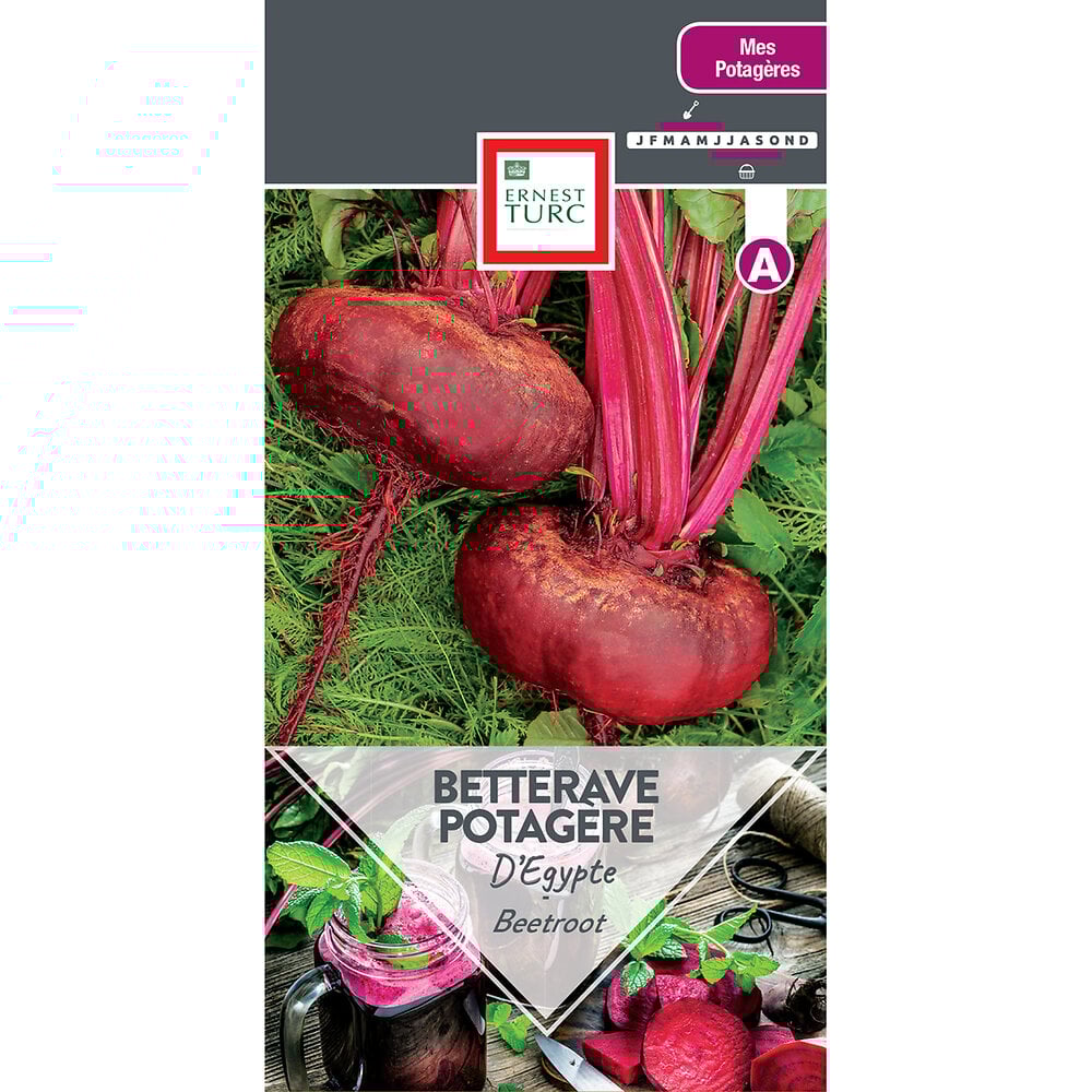 Betterave+potagere+d%27egypte