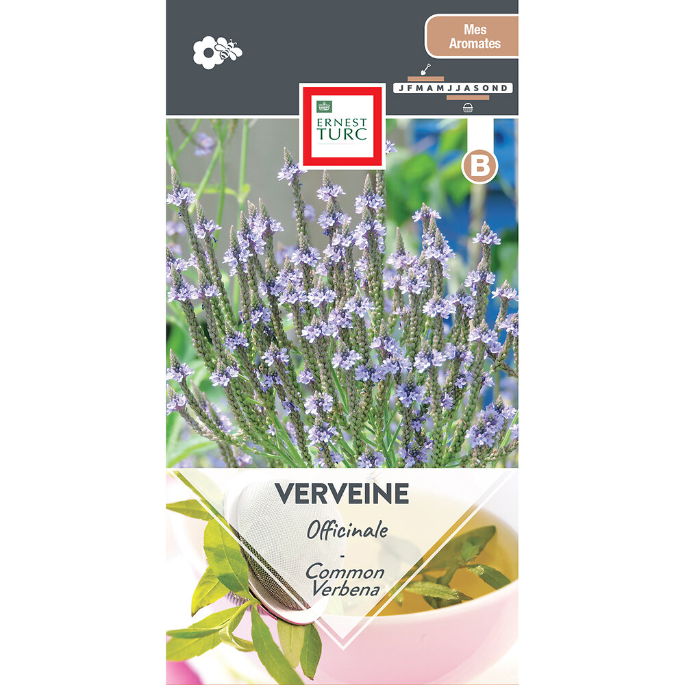 Verveine+officinale