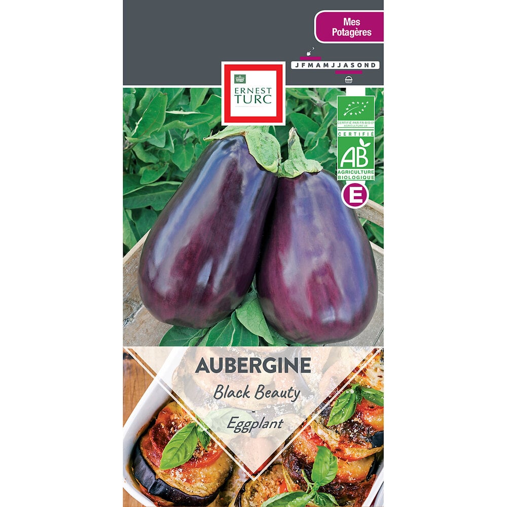Aubergine+black+beauty+bio