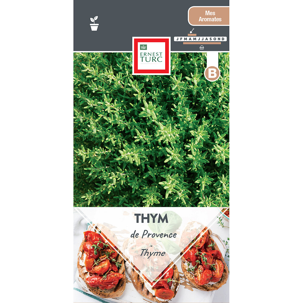 Thym de provence