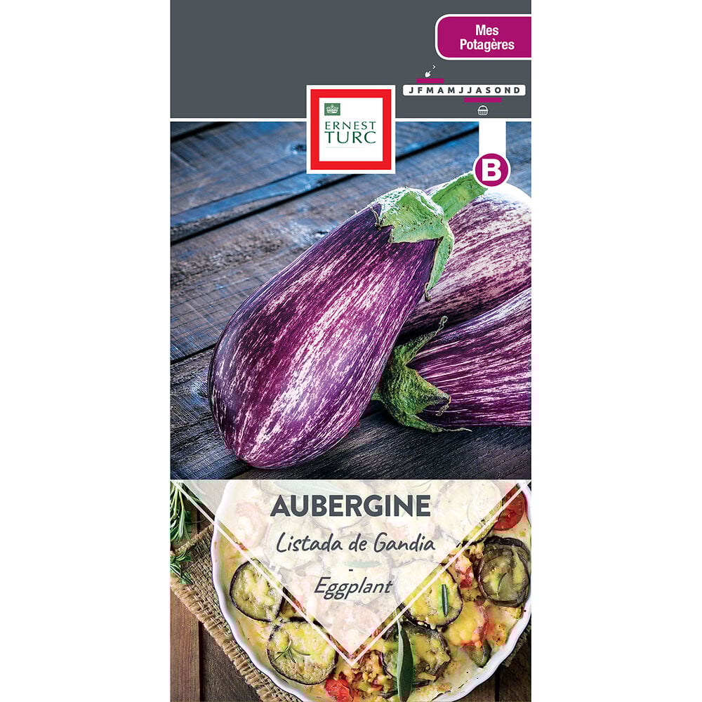 Aubergine+listada+de+gandia