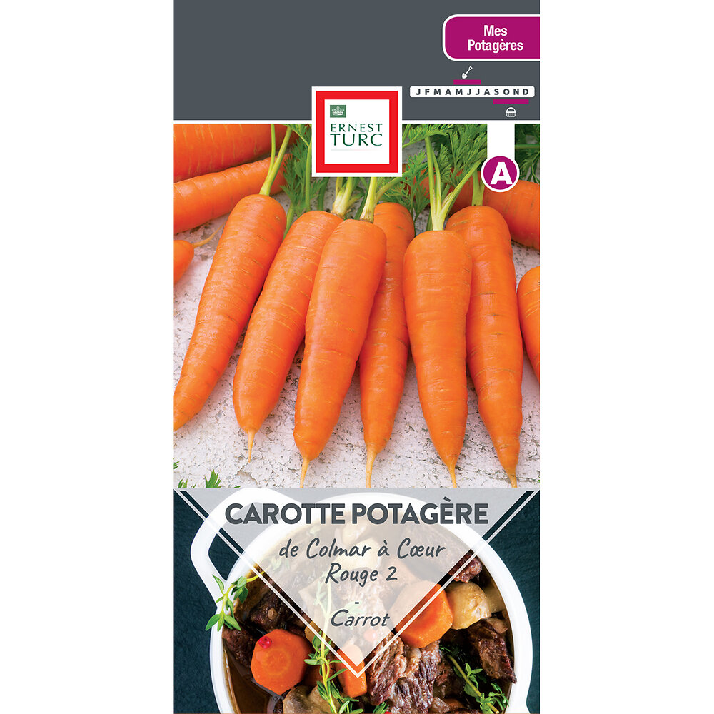 Carotte potagere de colmar a coeur rouge 2