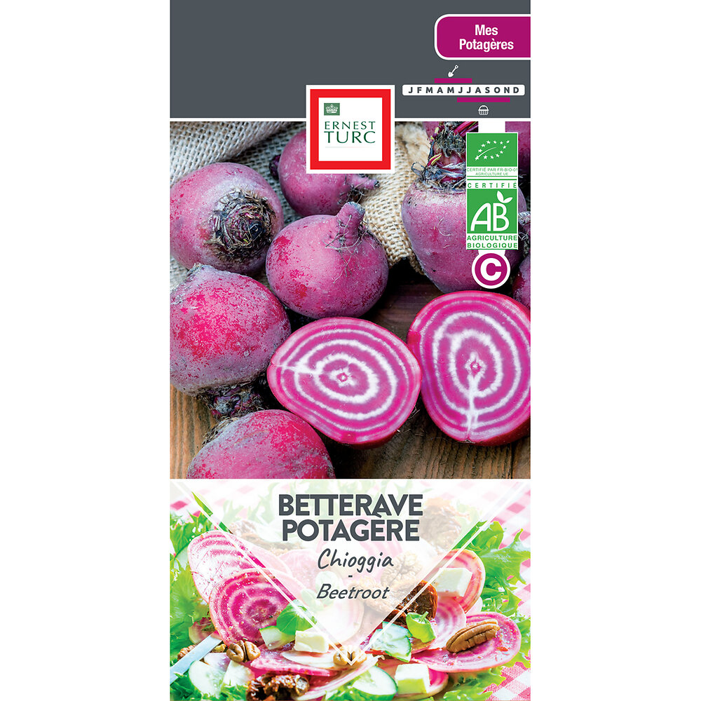 Betterave+potagere+chioggia+bio