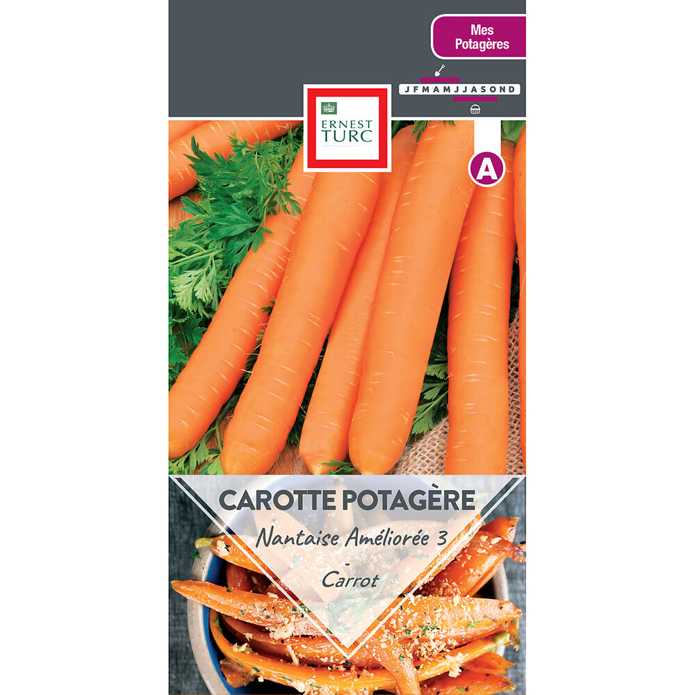 Carotte+potagere+nantaise+amelioree+3