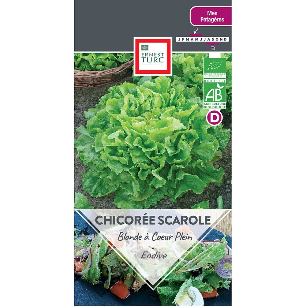 Chicoree+scarole+blonde+a+coeur+plein+bio