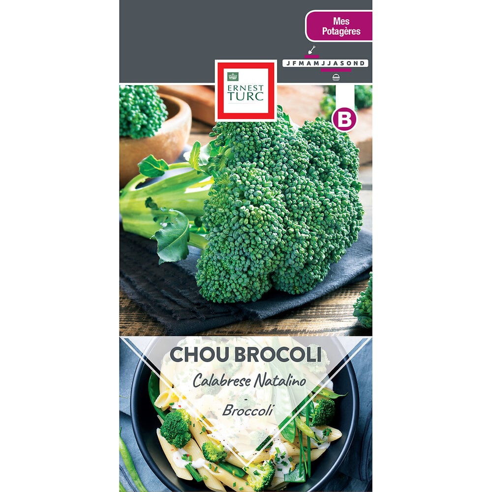 Chou+brocoli+calabrese+natalino