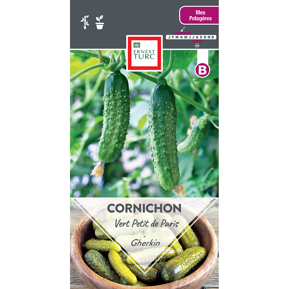 CORNICHON VERT PETIT DE PARIS