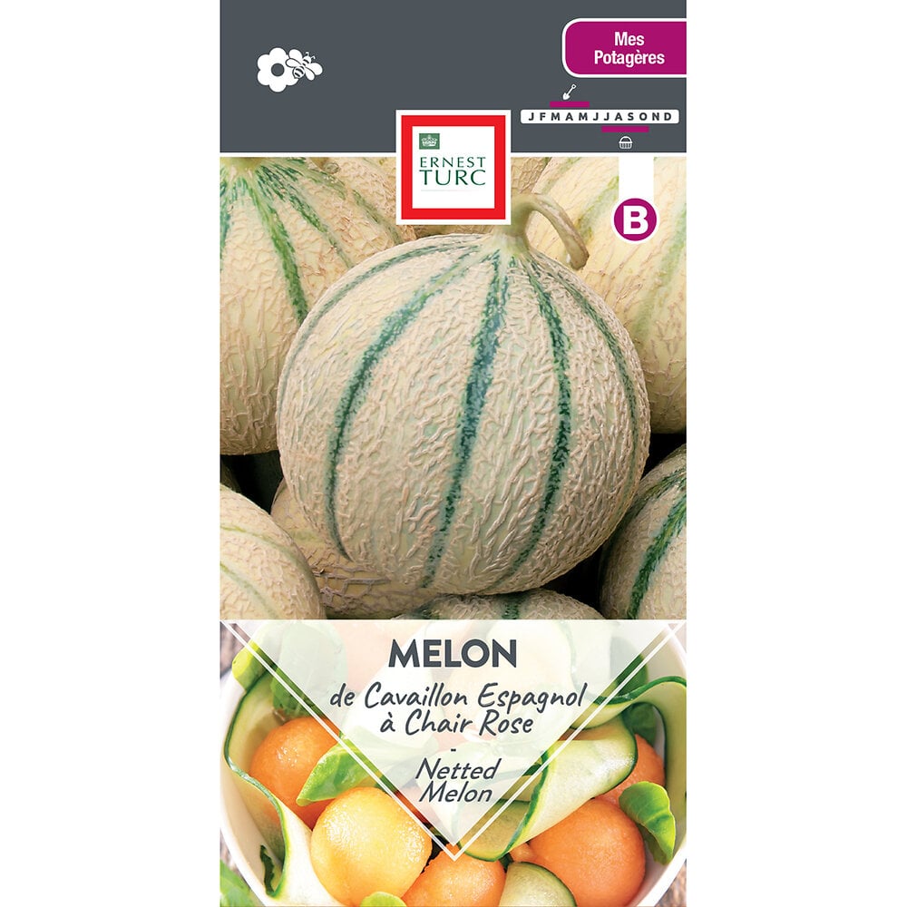 MELON DE CAVAILLON ESPAGNOL