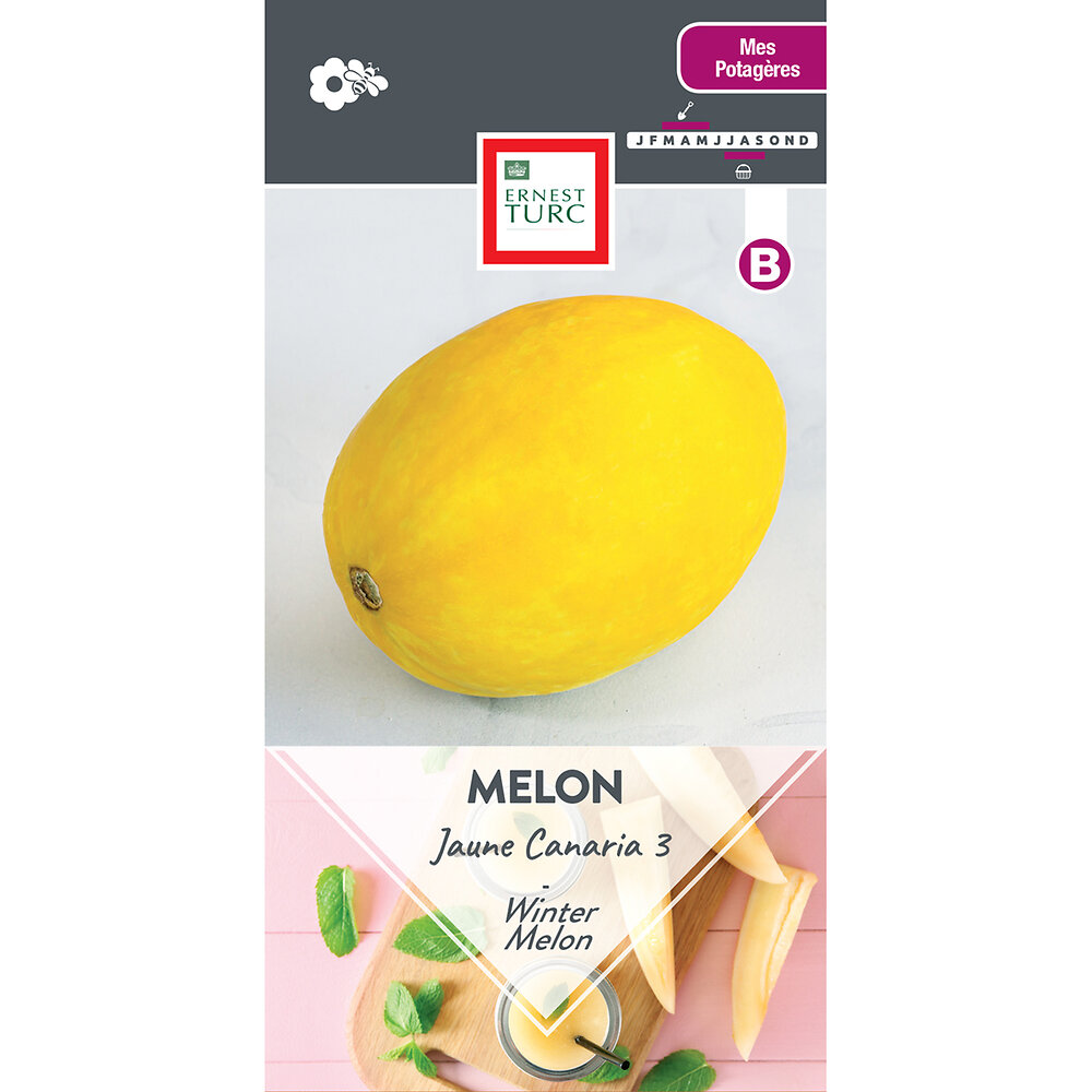 Melon+jaune+canaria+3