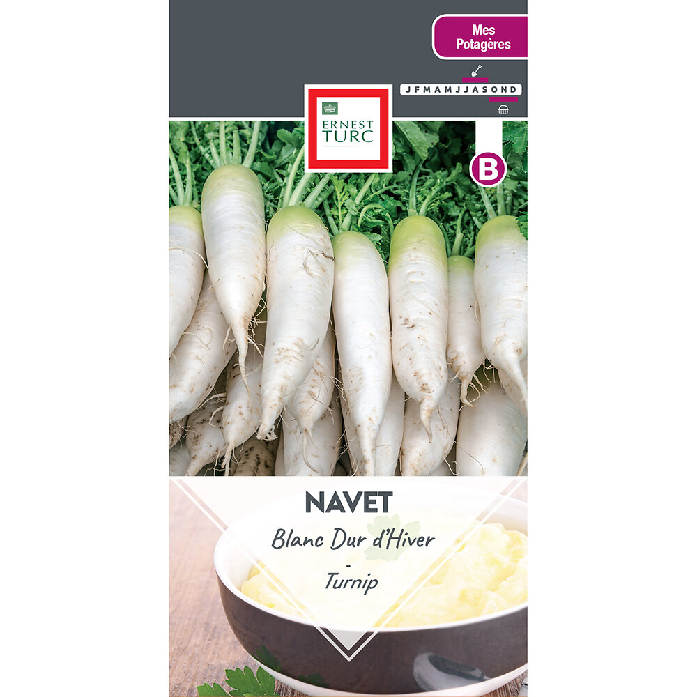 Navet+blanc+dur+d%27hiver