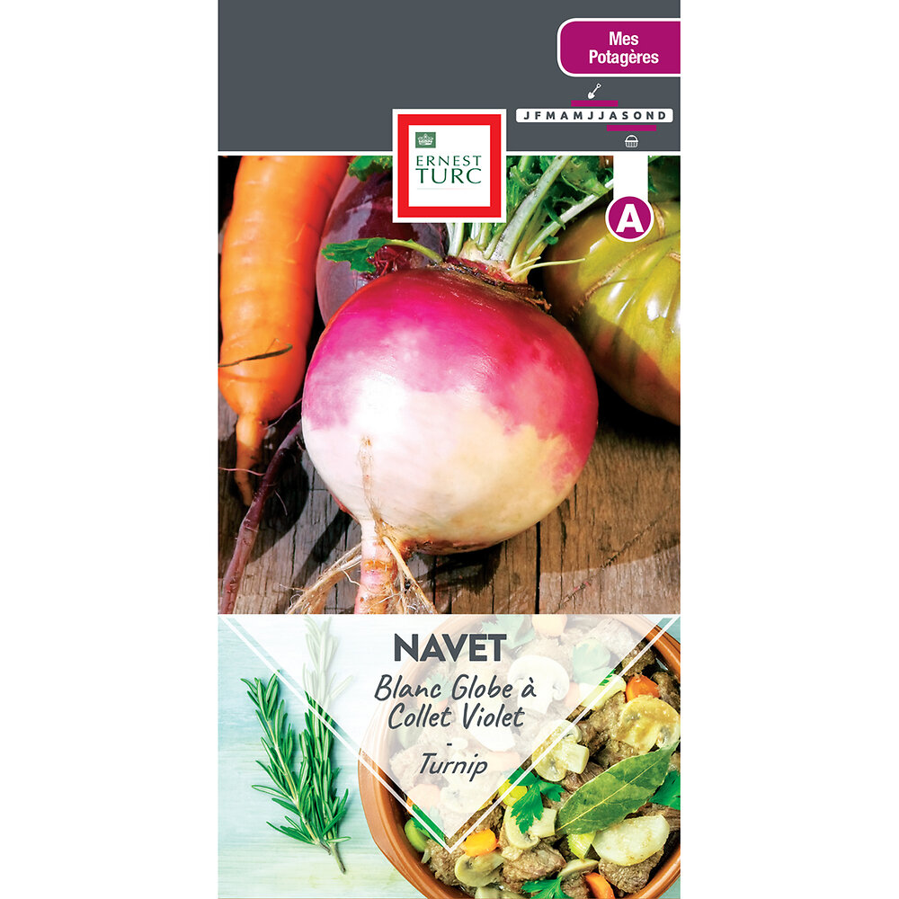 Navet+blanc+globe+a+collet+violet