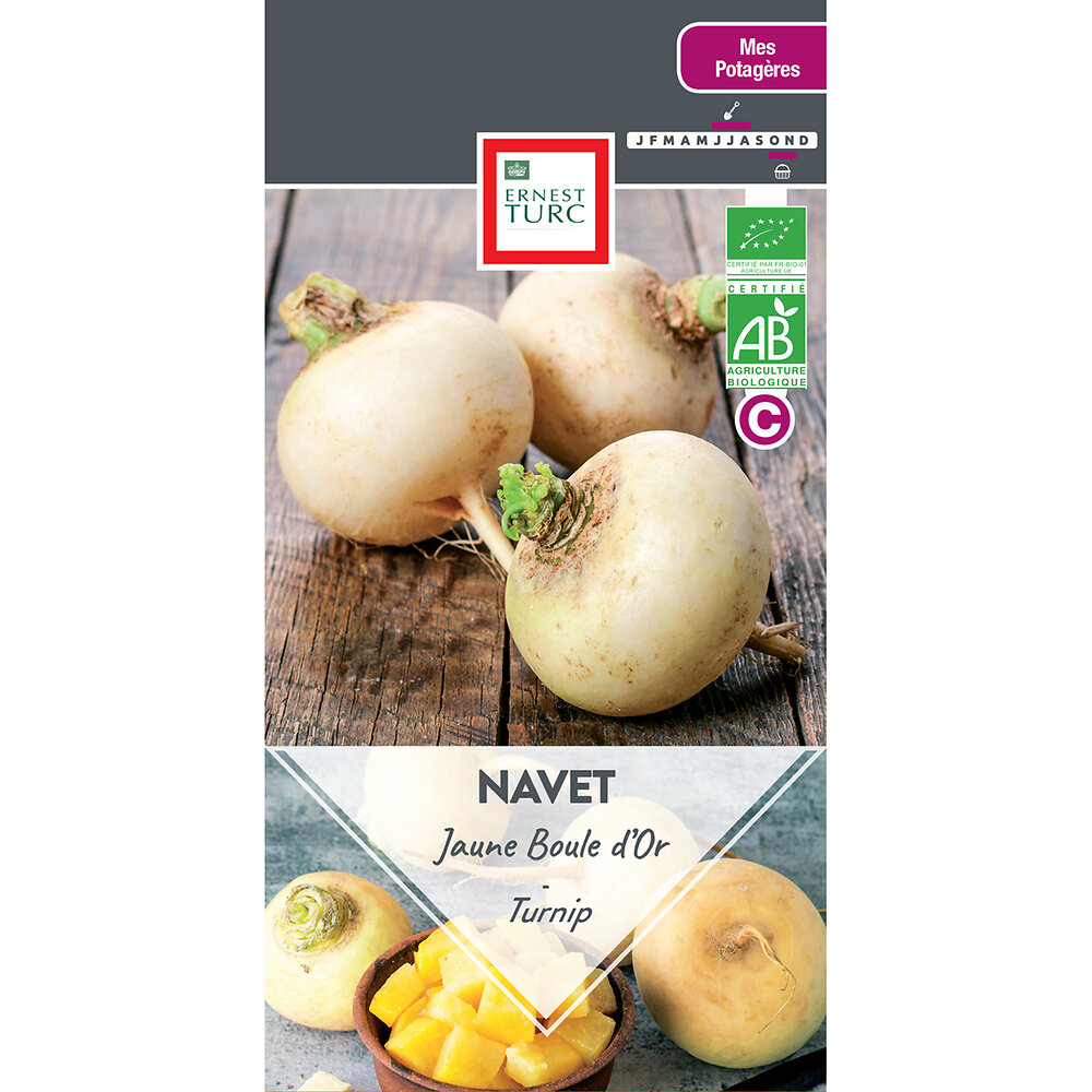Navet+jaune+boule+d%27or+bio