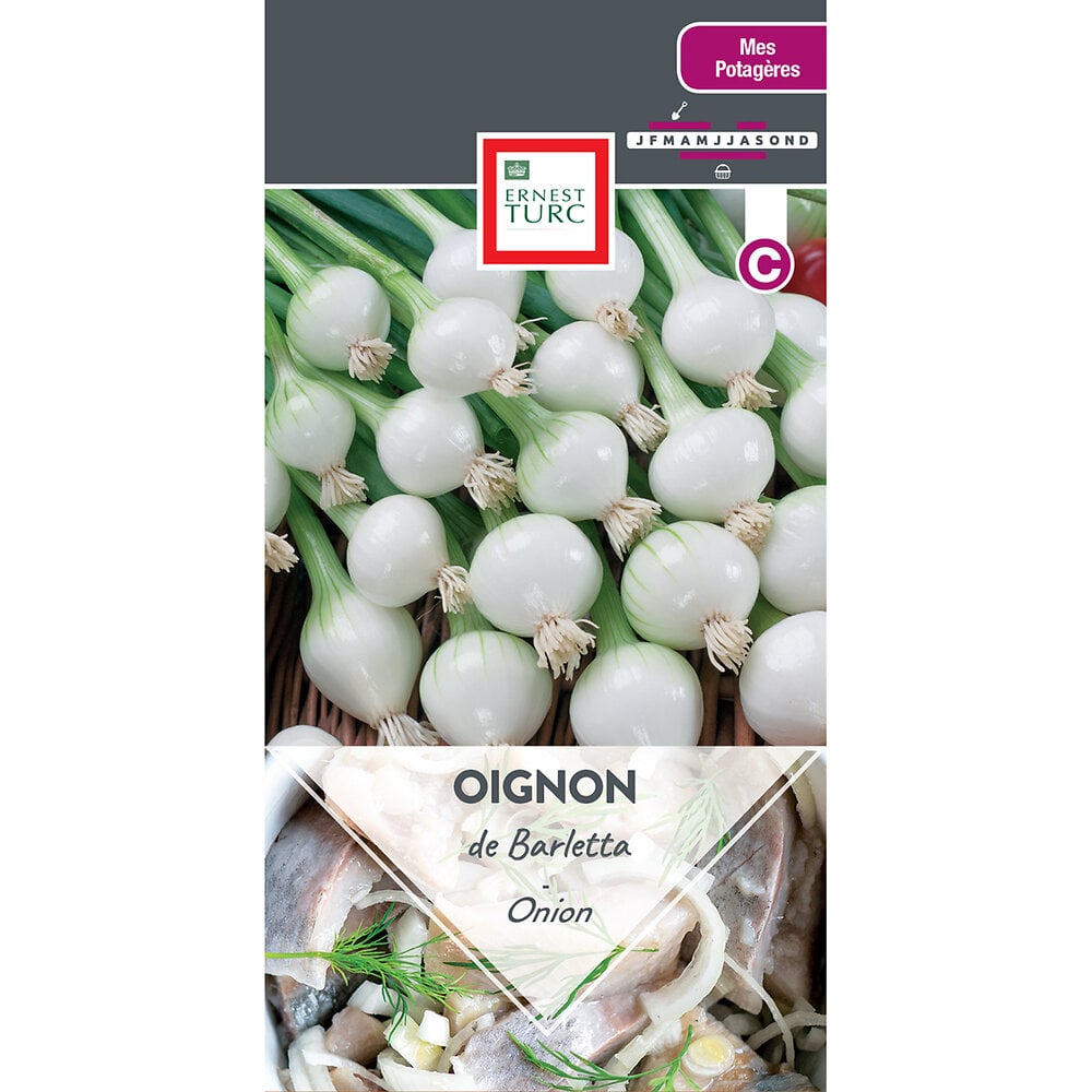 Oignon+de+barletta