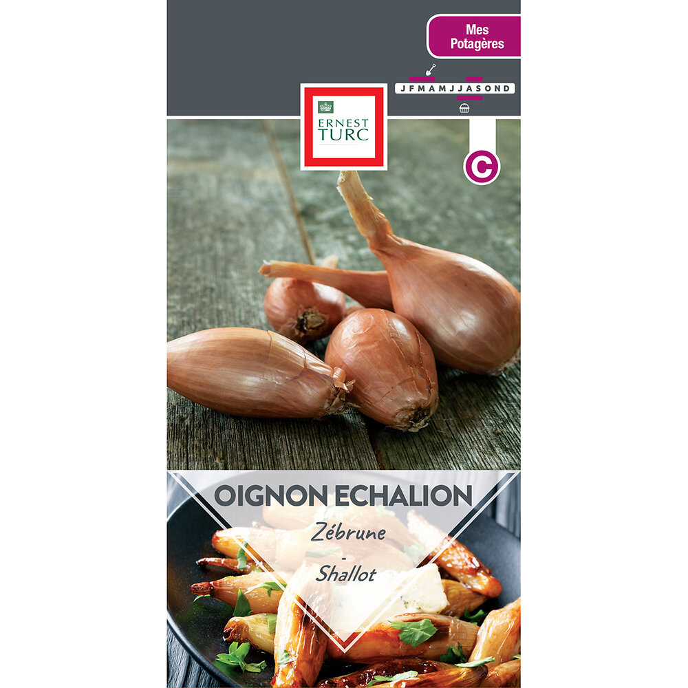 Oignon+echalion+zebrune
