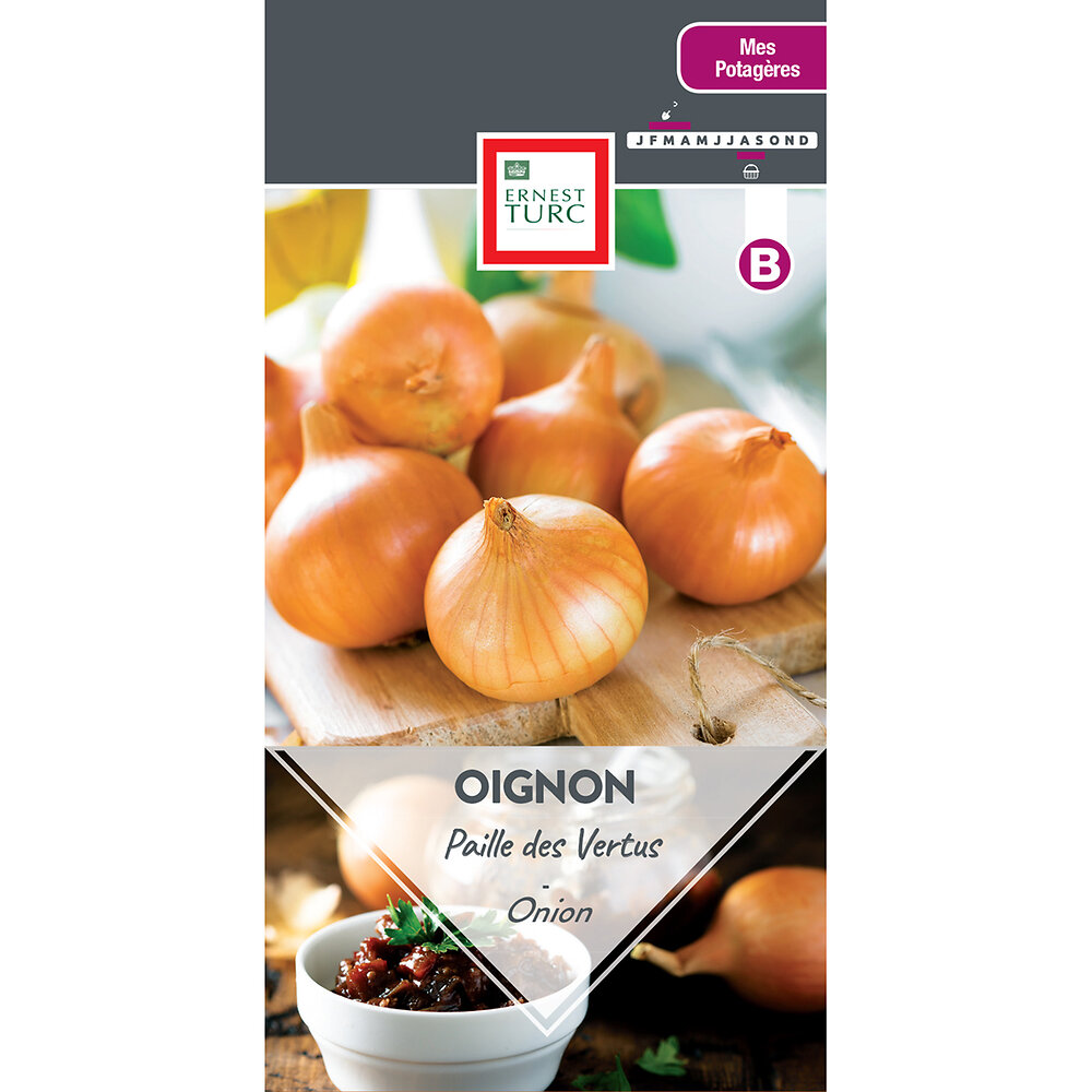 Oignon+jaune+paille+des+vertus